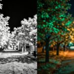 Infrared Vs Color Night Vision Explained